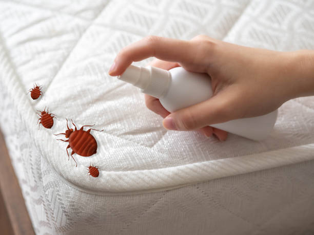 Best Residential Pest Control  in Athens, OH